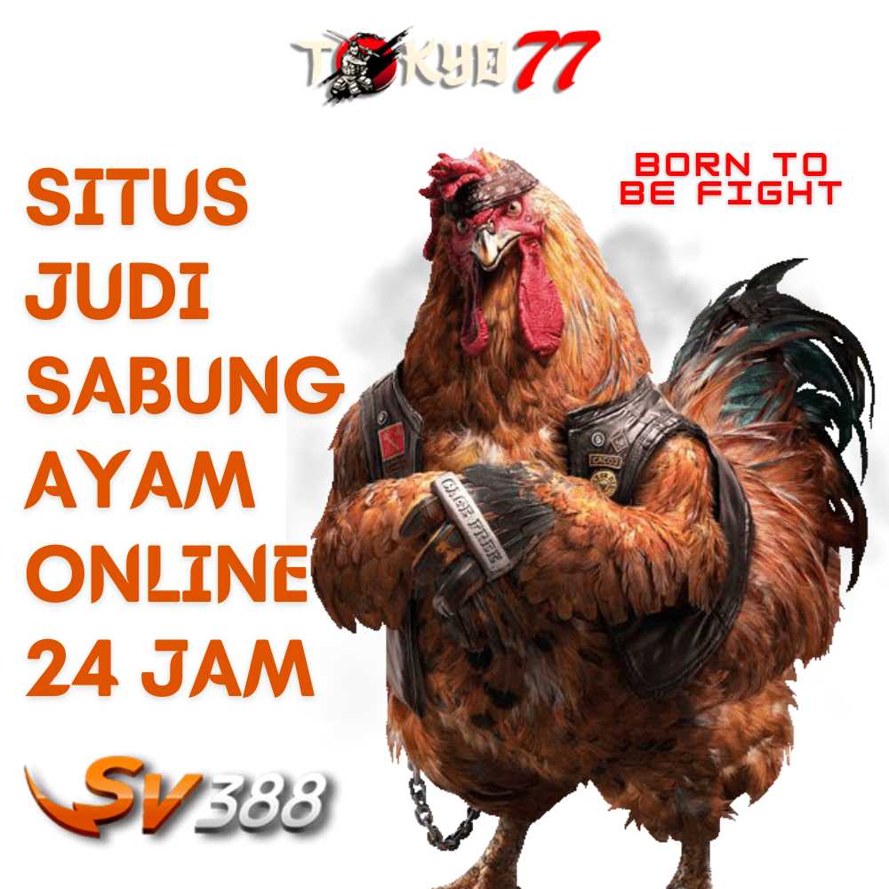 Tips and tricks for finding winners in Sabung Ayam